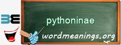 WordMeaning blackboard for pythoninae